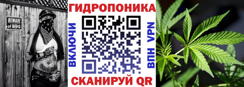 Бошки марихуана OG Kush  Правдинск 